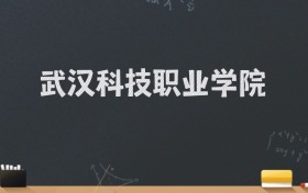 武汉科技职业学院2024录取分数线：最低220分