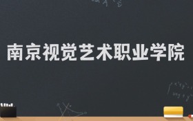 南京视觉艺术职业学院2024录取分数线：最低220分