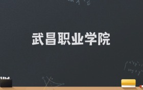 武昌职业学院2024录取分数线：最低220分