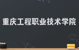 重庆工程职业技术学院2024录取分数线：最低419分