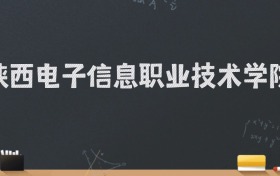 陕西电子信息职业技术学院2024录取分数线：最低248分