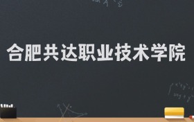 合肥共达职业技术学院2024录取分数线：最低241分