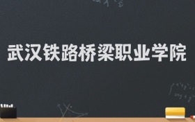 武汉铁路桥梁职业学院2024录取分数线：最低351分