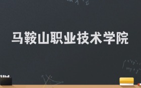 马鞍山职业技术学院2024录取分数线：最低330分