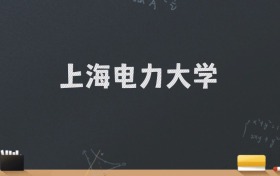 上海电力大学2024录取分数线：最低565分