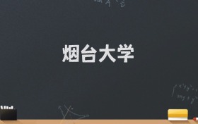 烟台大学2024录取分数线：最低536分