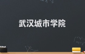 武汉城市学院2024录取分数线：最低464分