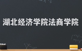 湖北经济学院法商学院2024录取分数线：最低480分