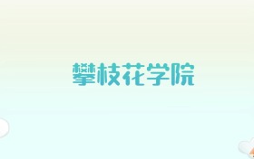 攀枝花学院全国各省高考录取分数线汇总（2025年参考）