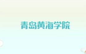 青岛黄海学院全国各省高考录取分数线汇总（2025年参考）