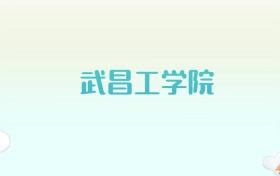 武昌工学院全国各省高考录取分数线汇总（2025年参考）