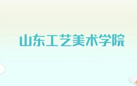 山东工艺美术学院全国各省高考录取分数线汇总（2025年参考）