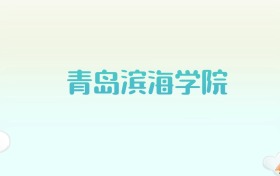 青岛滨海学院全国各省高考录取分数线汇总（2025年参考）