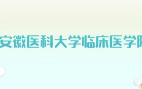 安徽医科大学临床医学院全国各省高考录取分数线汇总（2025年参考）