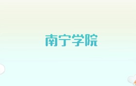 南宁学院全国各省高考录取分数线汇总（2025年参考）