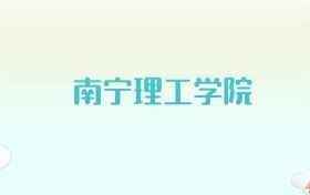 南宁理工学院全国各省高考录取分数线汇总（2025年参考）