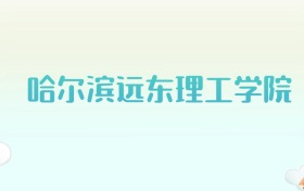 哈尔滨远东理工学院全国各省高考录取分数线汇总（2025年参考）