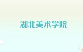 湖北美术学院全国各省高考录取分数线汇总（2025年参考）