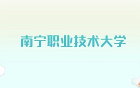 南宁职业技术大学全国各省高考录取分数线汇总（2025年参考）