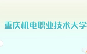 重庆机电职业技术大学全国各省高考录取分数线汇总（2025年参考）