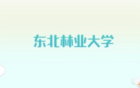 东北林业大学全国各省高考录取分数线汇总（2025年参考）