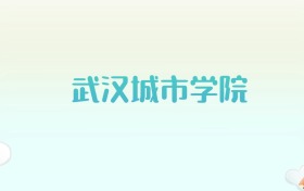 武汉城市学院全国各省高考录取分数线汇总（2025年参考）