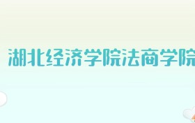 湖北经济学院法商学院全国各省高考录取分数线汇总（2025年参考）