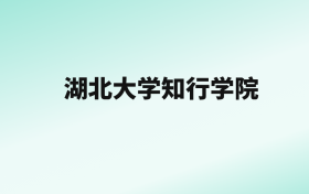 张雪峰评价湖北大学知行学院：王牌专业是汉语言文学