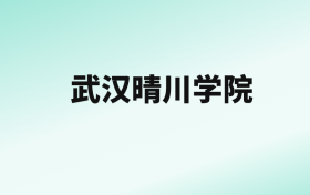 张雪峰评价武汉晴川学院：王牌专业是计算机科学与技术