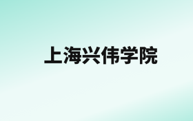 张雪峰评价上海兴伟学院：王牌专业是国际商务