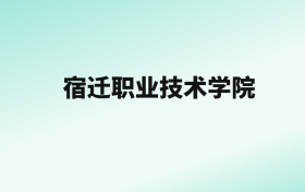 张雪峰评价宿迁职业技术学院：王牌专业是人工智能技术应用