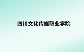 张雪峰评价四川文化传媒职业学院：王牌专业是无人机应用技术