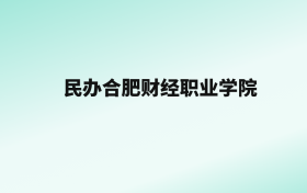 张雪峰评价民办合肥财经职业学院：王牌专业是大数据与会计