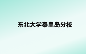 张雪峰评价东北大学秦皇岛分校：王牌专业是计算机科学与技术