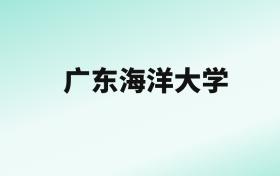 张雪峰评价广东海洋大学：王牌专业是软件工程