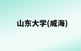 张雪峰评价山东大学(威海)：王牌专业是计算机类