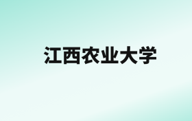 张雪峰评价江西农业大学：王牌专业是软件工程