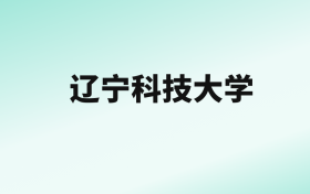 张雪峰评价辽宁科技大学：王牌专业是计算机科学与技术