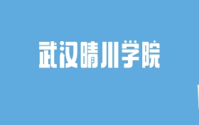 2024武汉晴川学院录取分数线汇总：全国各省最低多少分能上