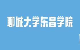 2024聊城大学东昌学院录取分数线汇总：全国各省最低多少分能上