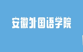 2024安徽外国语学院录取分数线汇总：全国各省最低多少分能上