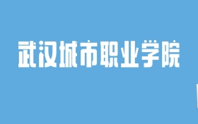 2024武汉城市职业学院录取分数线汇总：全国各省最低多少分能上