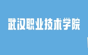 2024武汉职业技术学院录取分数线汇总：全国各省最低多少分能上