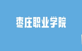 2024枣庄职业学院录取分数线汇总：全国各省最低多少分能上