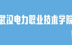 2024武汉电力职业技术学院录取分数线汇总：全国各省最低多少分能上