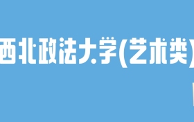 2024西北政法大学(艺术类)录取分数线：最低多少分能上