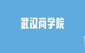 2024武汉商学院录取分数线汇总：全国各省最低多少分能上