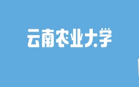 2024云南农业大学录取分数线汇总：全国各省最低多少分能上