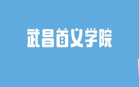 2024武昌首义学院录取分数线汇总：全国各省最低多少分能上