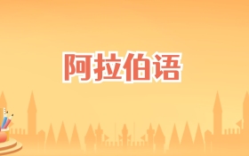 云南阿拉伯语专业大学排名及录取分数线(2027高考参考)